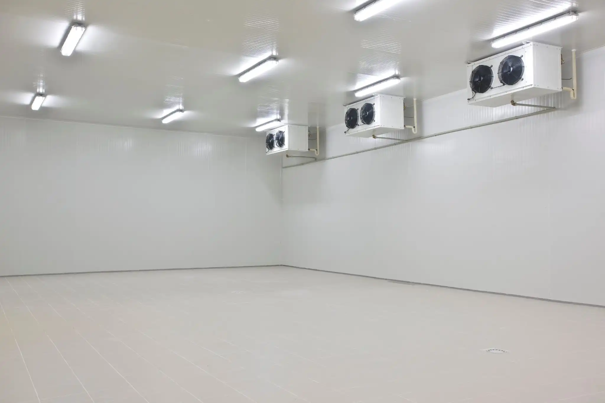 Cámara frigorífica modular con paneles aislantes instalada por Zona Sur Refrigeración
